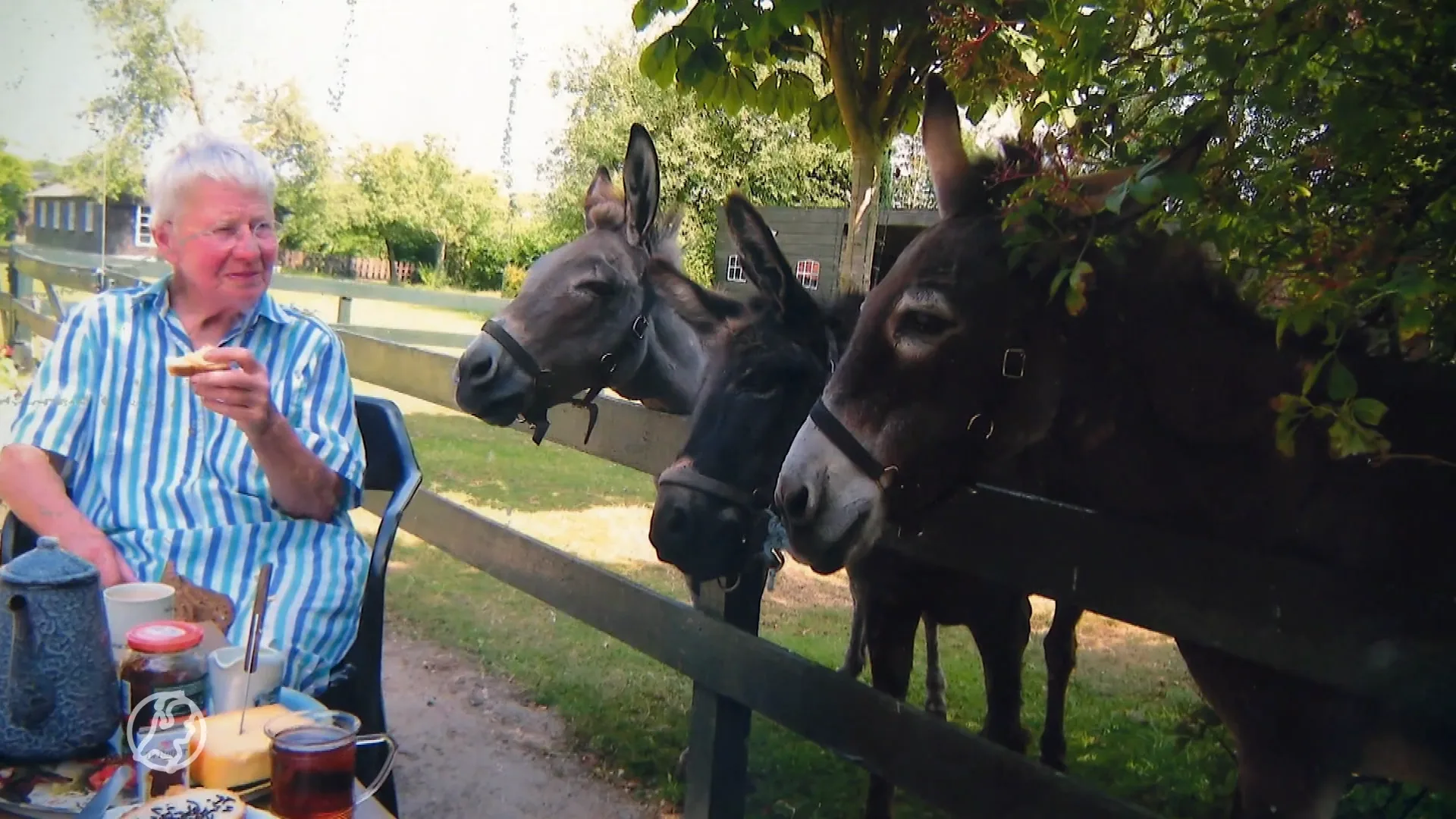 Ezelopvang verrast door grote erfenis: complete boerderij en land voor dieren