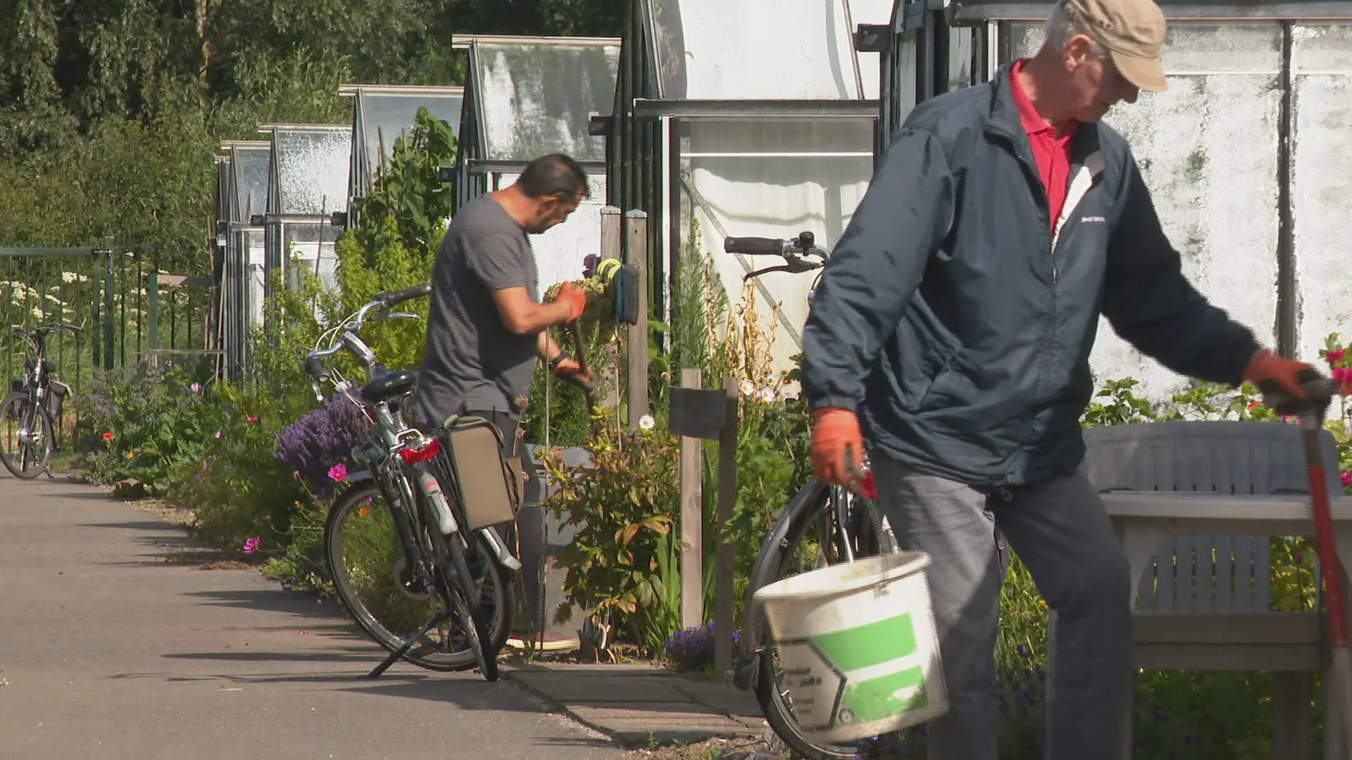 Geen volkstuin meer te krijgen, zelfs geen plek meer op de wachtlijst