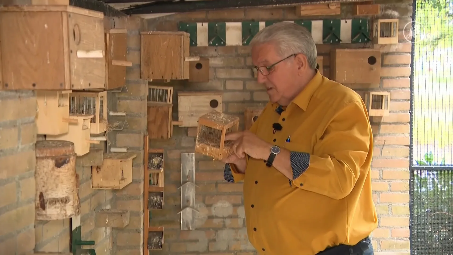 Dief slaat toe in Eindhovens stadspark: 29 vogels vermoedelijk meegenomen