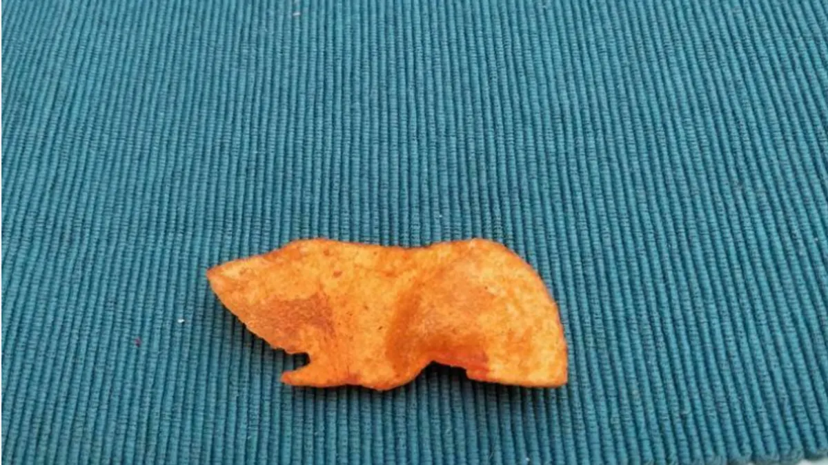 Kim verkocht cavia-chipje voor honderden euro's, maar trok de deal last-minute tóch in