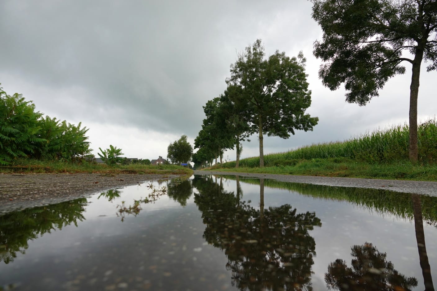 Weekend begint grijs, na vandaag weer meer zon 