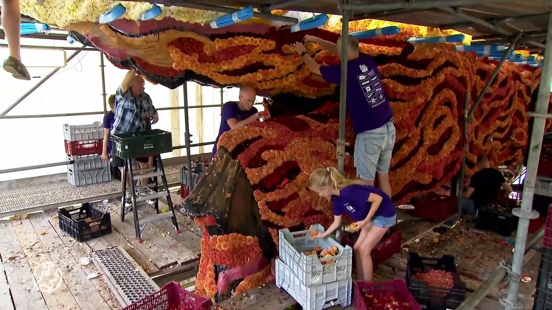 Zaden, leer, houtskool en rijst: alles behalve bloemen bij bloemencorso Sint Jansklooster