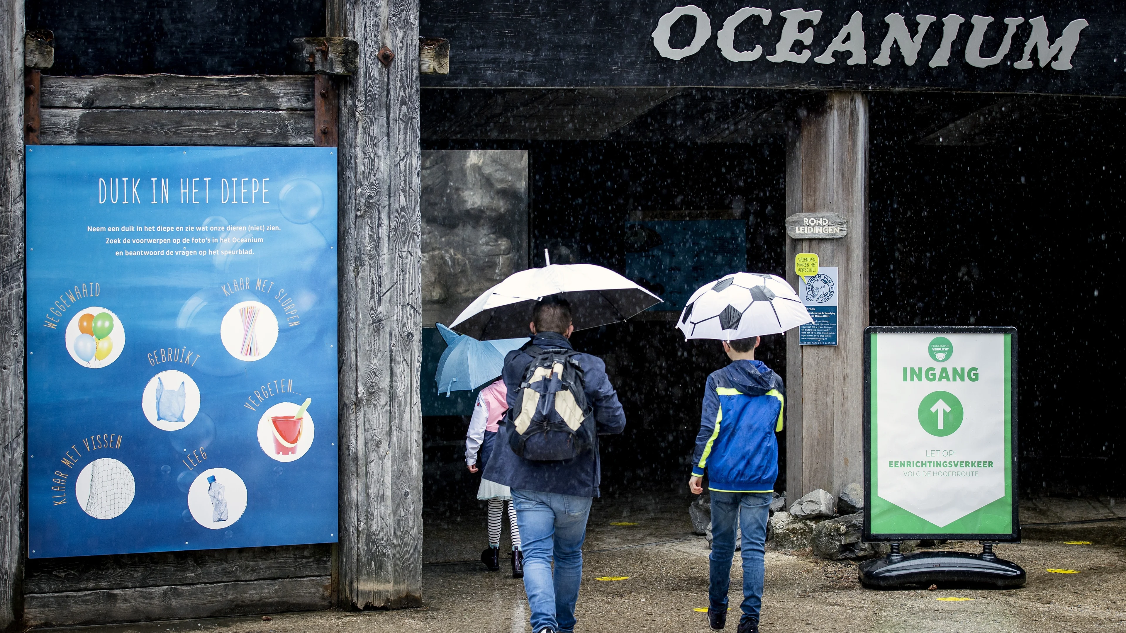 Lekkage in haaienverblijf Diergaarde Blijdorp: water loopt uit aquarium