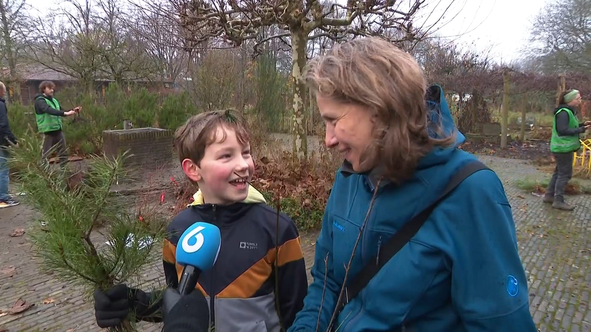 Gratis 'tweedehands' kerstbomen: voor een kerstsfeer zonder schuldgevoel
