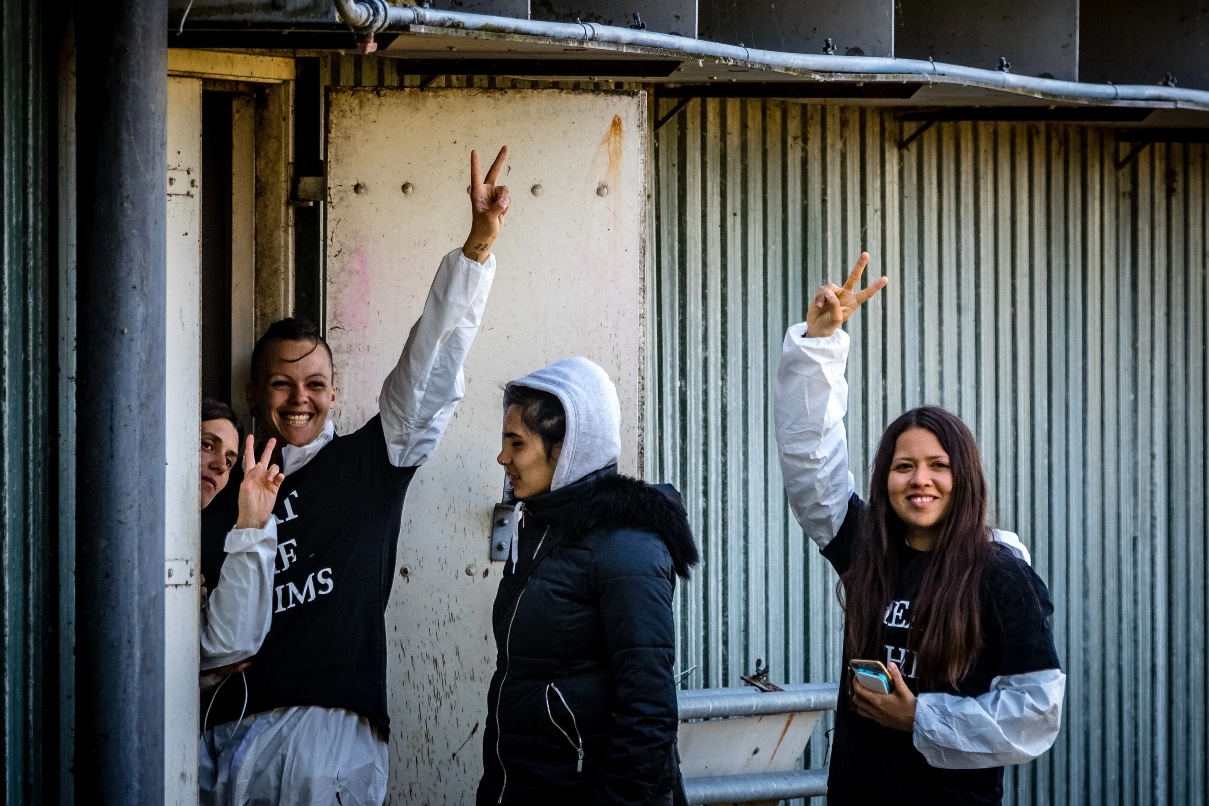 LTO: 'Dierenextremisten die stal bezetten moeten zwaarder worden gestraft'