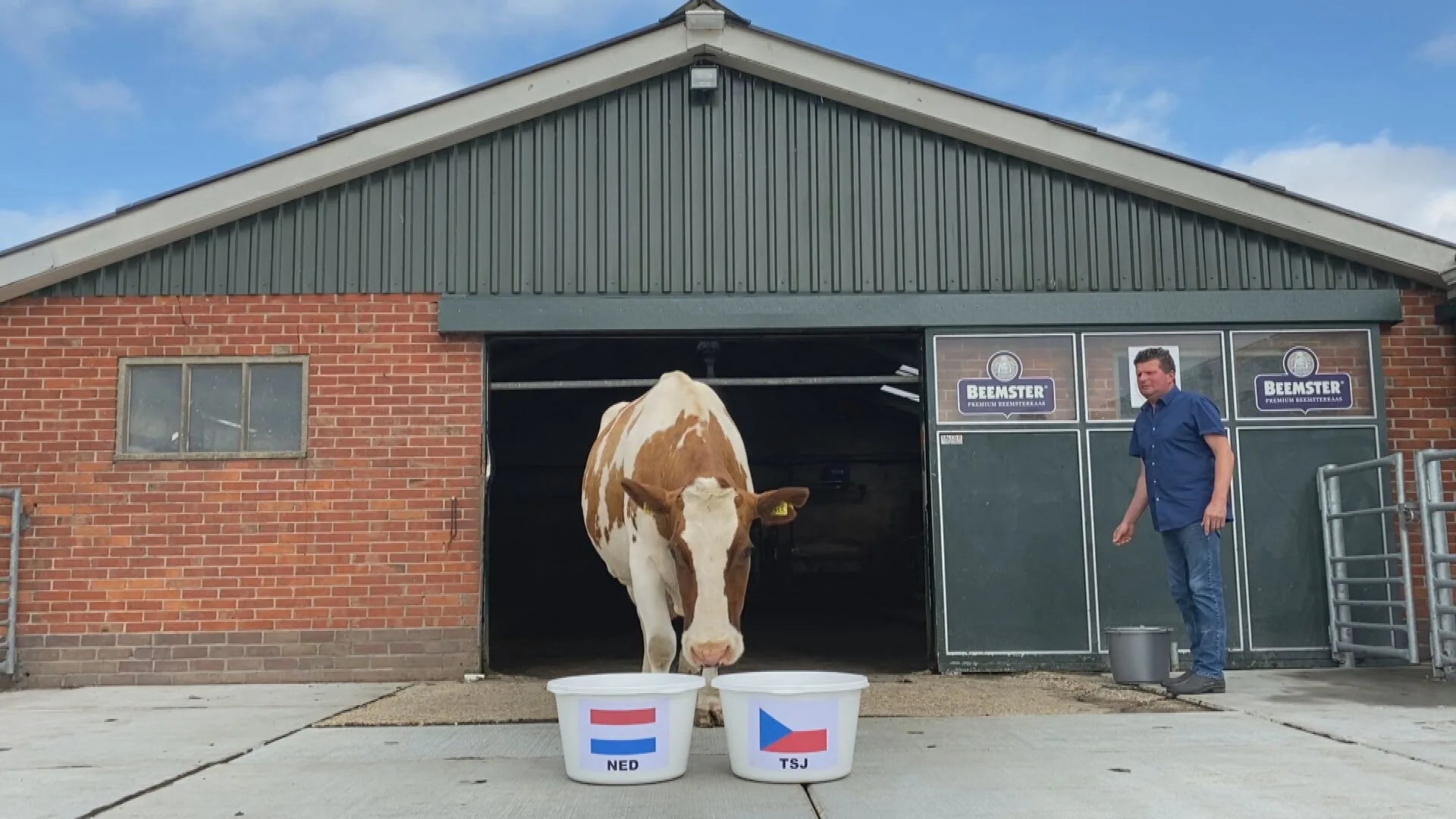 De waarheid van koe Sijtje: dit wordt de winnaar van Nederland-Tsjechië