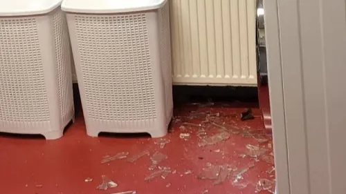 Veel schade en geldkluis weg na inbraak dierenasiel Winschoten