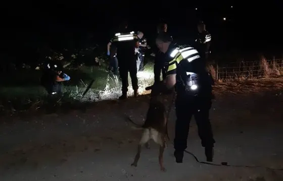 Politiehond Doerak spoort vluchtende autodief op in bosjes
