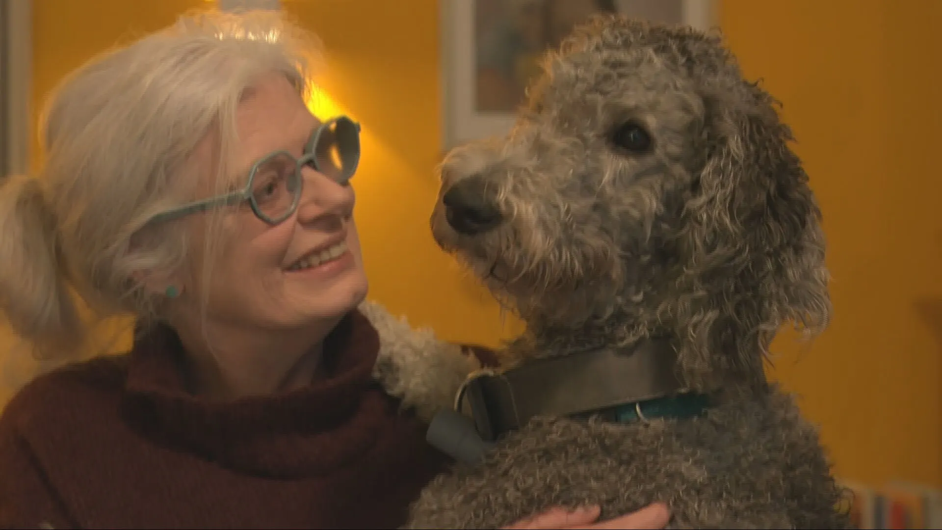 Weggestuurde vrouw met hulphond na show Patrick Laureij: 'Hij is geen lul'