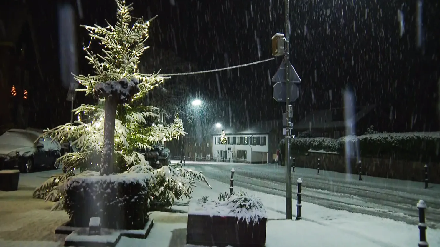 Deel Nederland op Sinterklaasochtend wakker in witte wereld