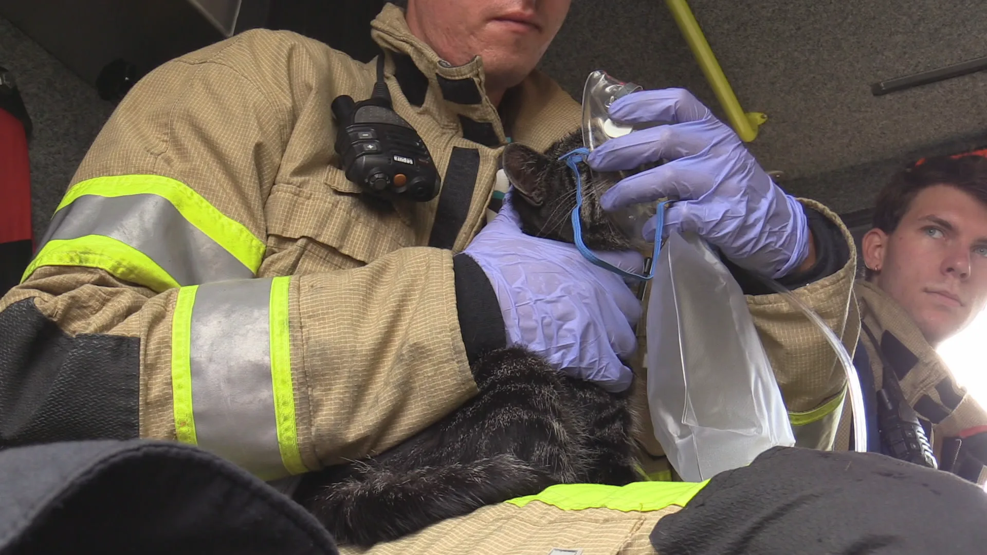 Buren redden gezin met twee poezen uit brandende woning in Emmeloord