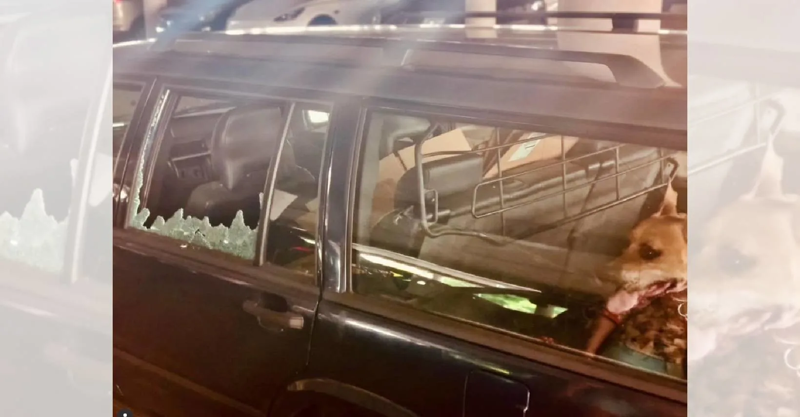 Twee honden bevrijd uit snikhete auto in Son en Breugel