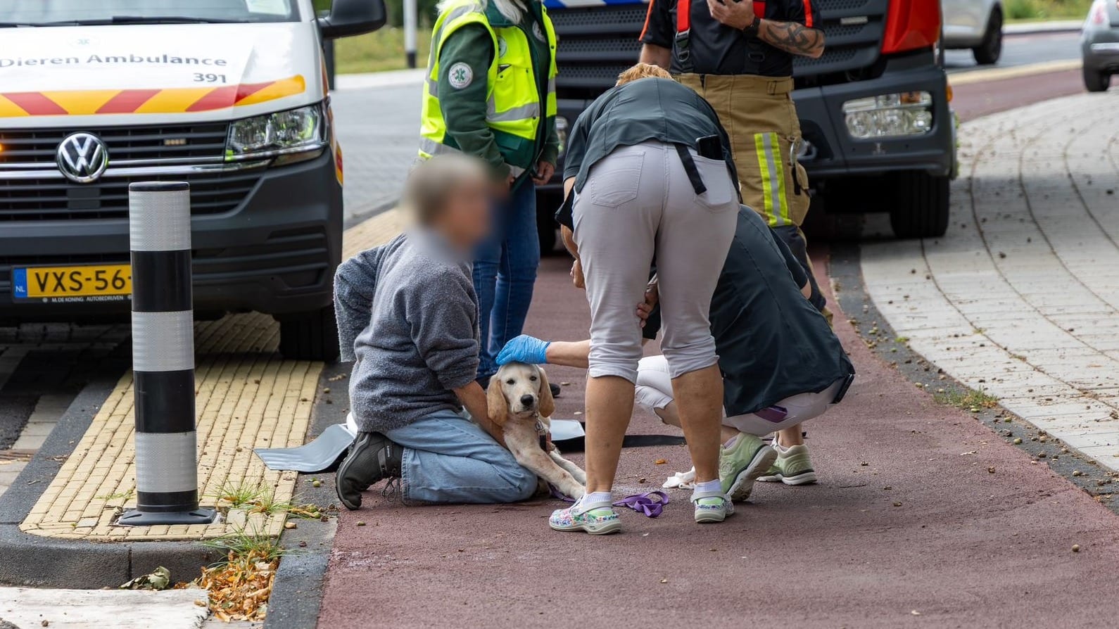 Brandweer bevrijdt hond die vastzat in fietswiel Bloemendaal