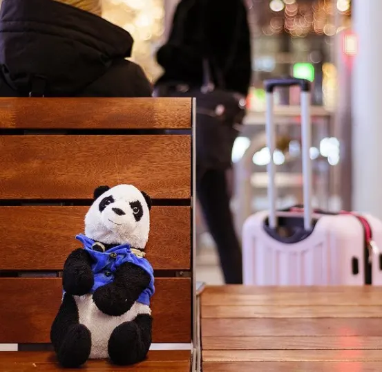 Week van de verloren knuffel: wie is het baasje van Droevige Dirk?