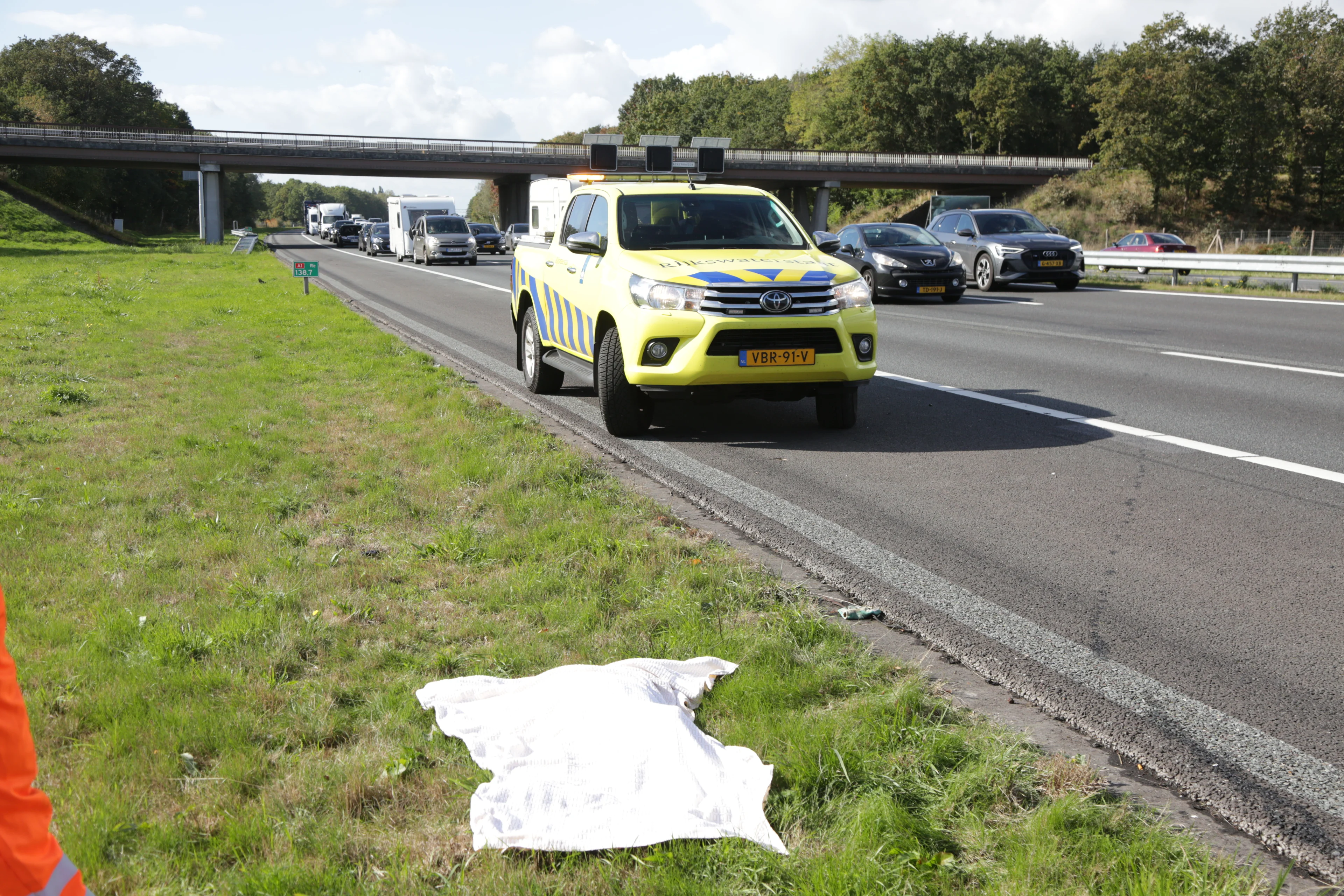 Loslopende hond overleden na aanrijding op A1 bij Bornerbroek