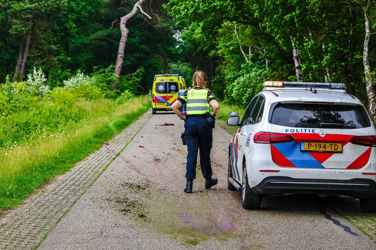 Motorrijder zwaargewond na botsing met overstekende ree in Bentelo