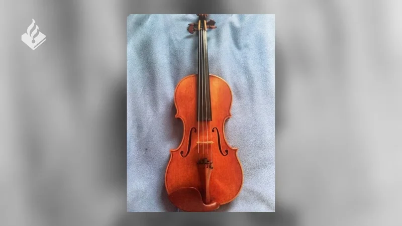 Professionele violiste in trein bestolen van uniek instrument