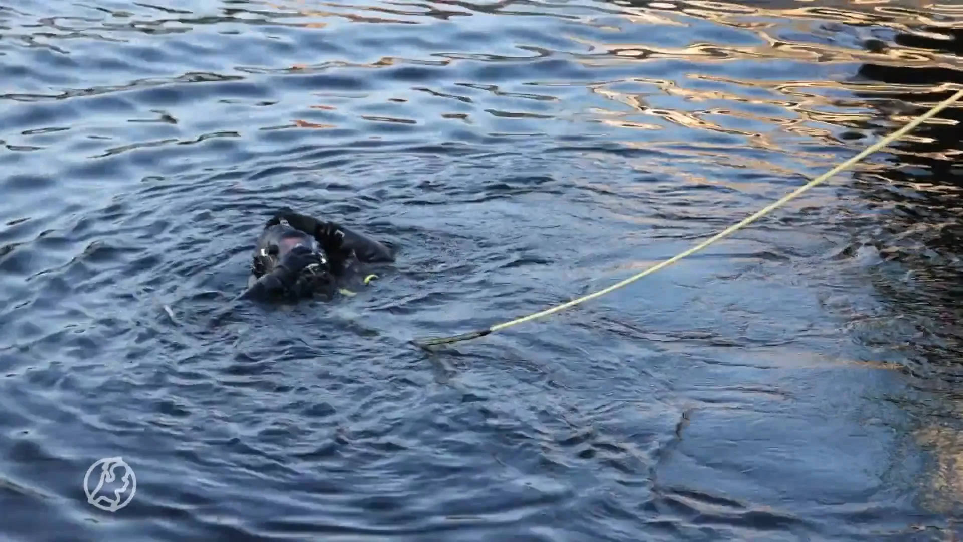 Wielrenner rijdt kanaal in, duikers helpen hem en krijgen boete