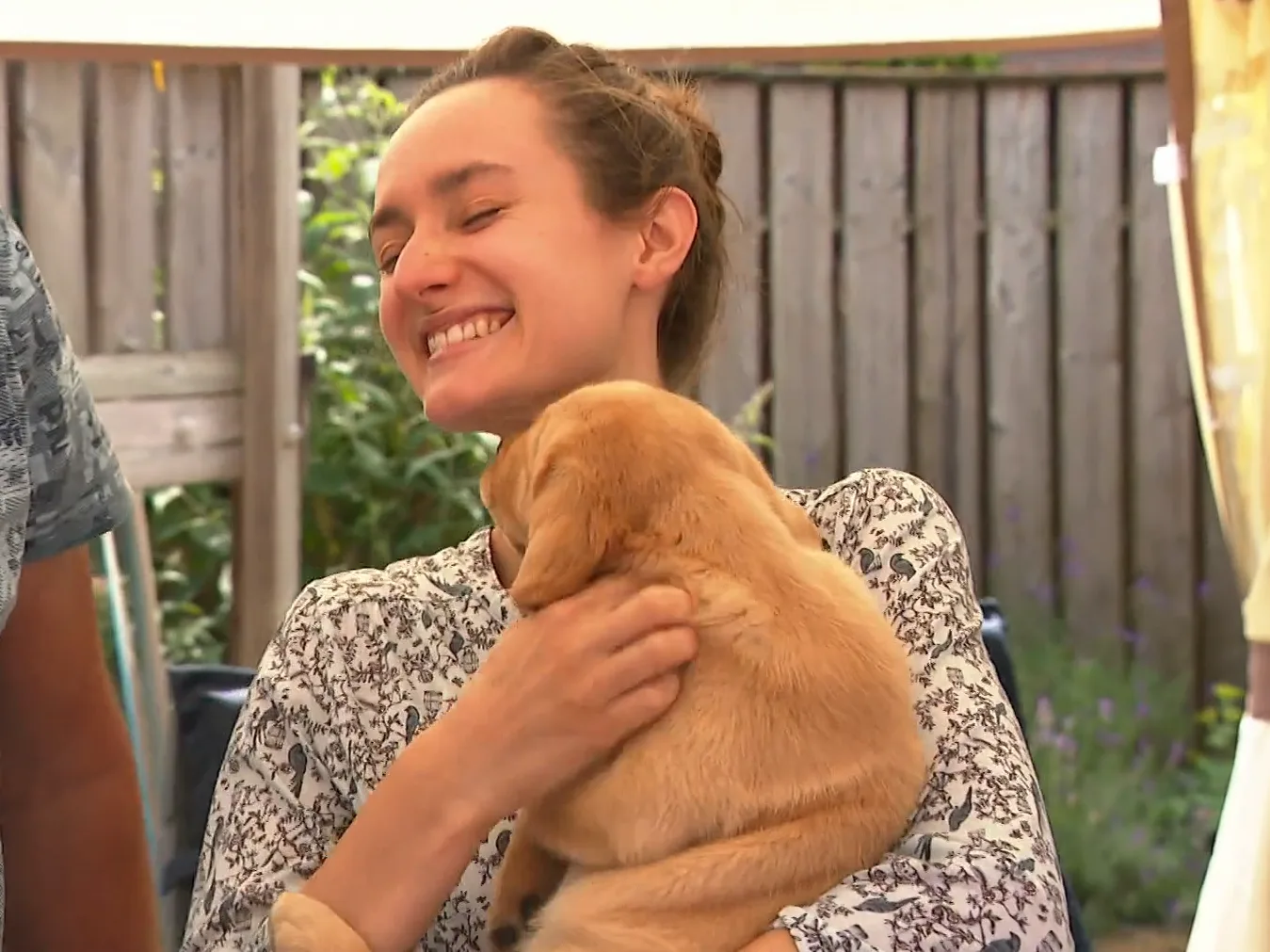 Wie wil voor een jaar een puppy in huis? Te weinig pleeggezinnen voor geleidehonden