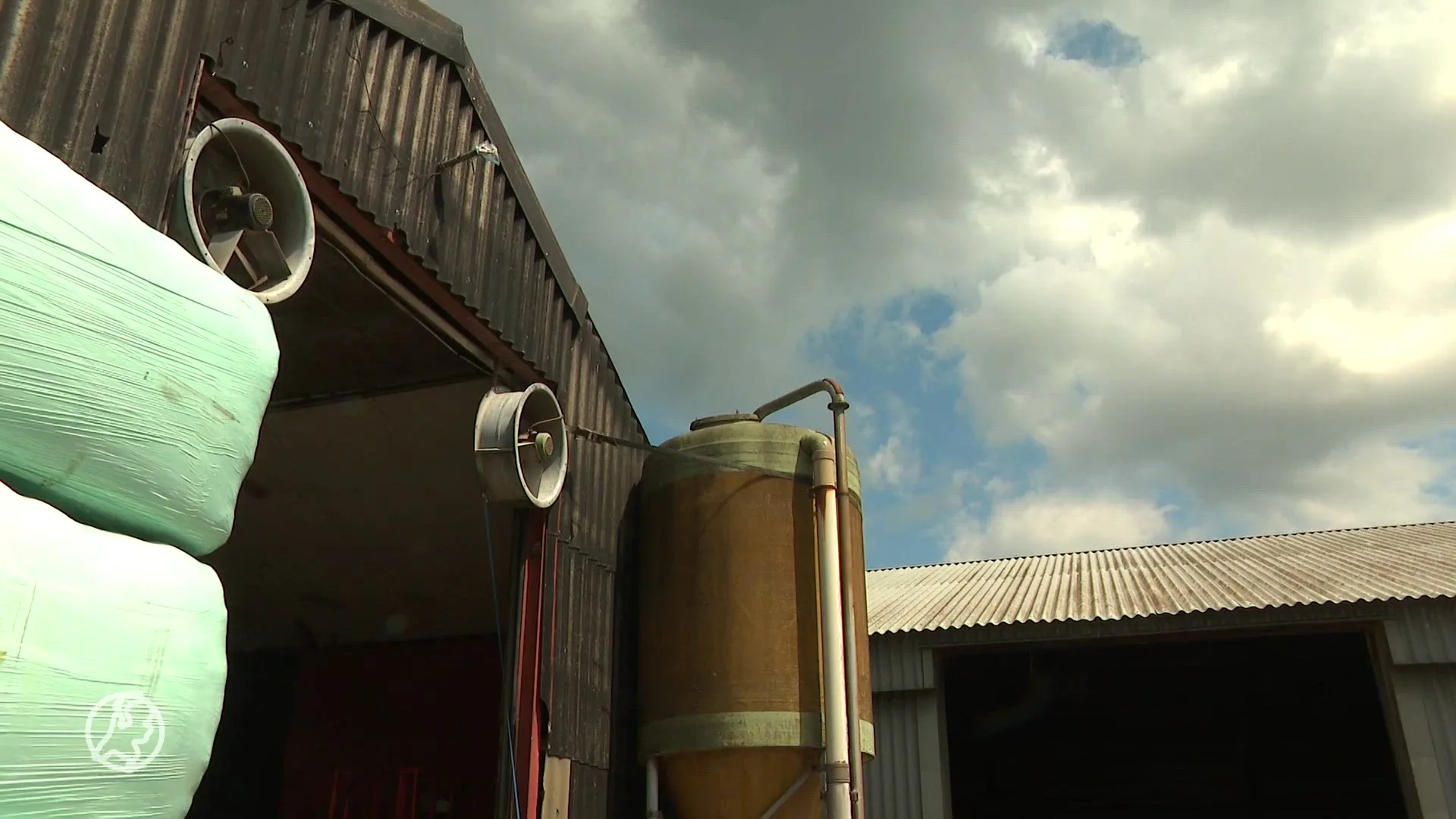 Twijfels over werking blauwtongvaccin, schapenhouders maken zich zorgen