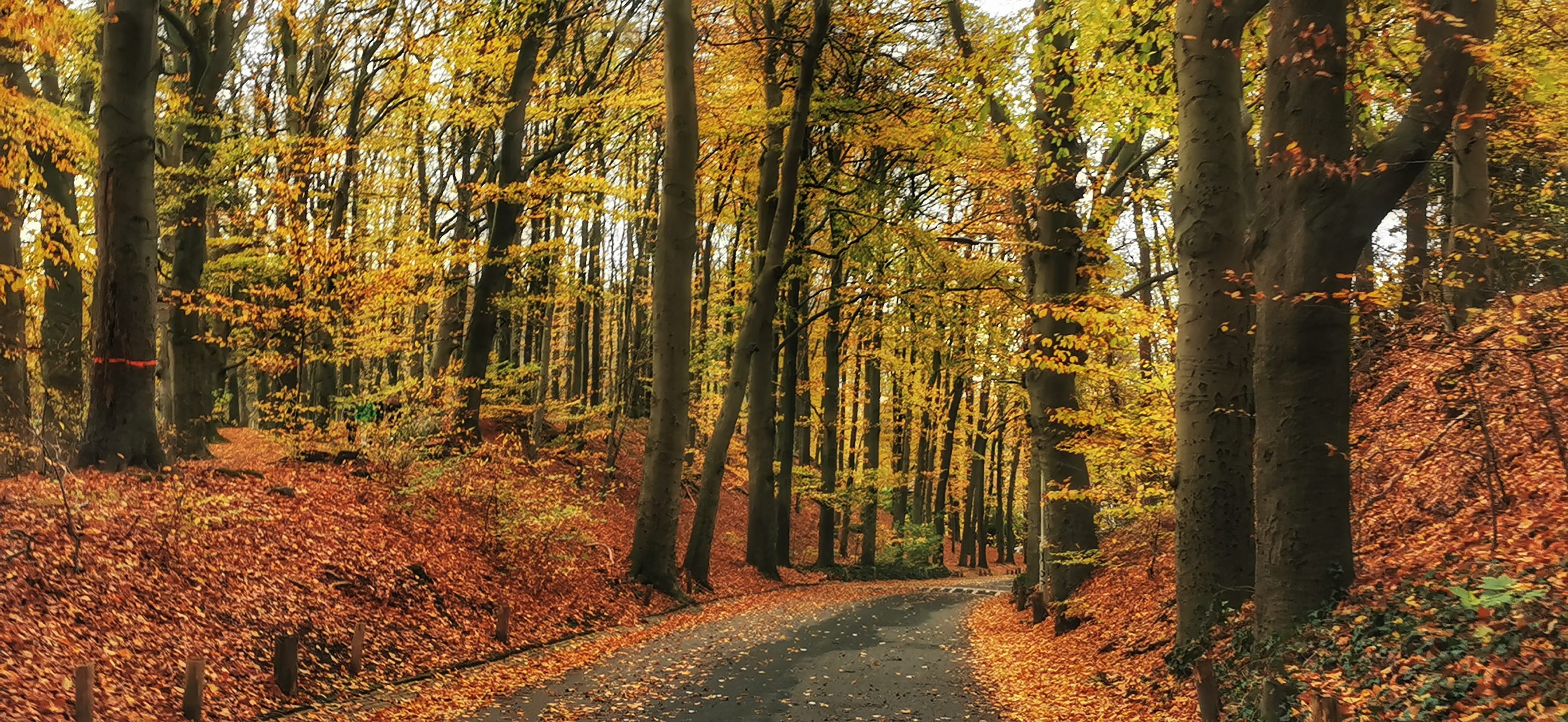 De nieuwe week begint grijs, nat en flink kouder