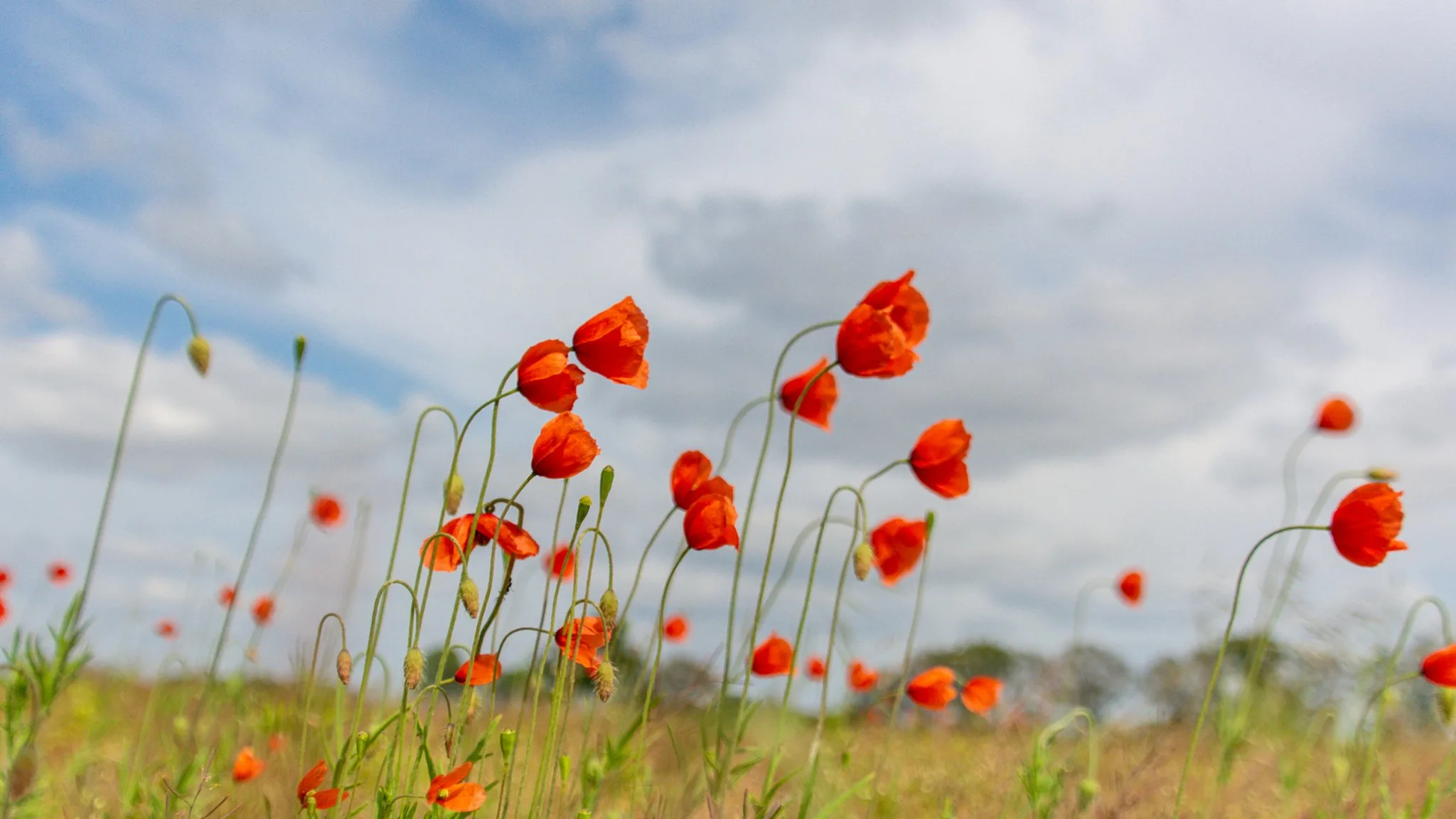 Zomers warm met 29 graden in zuiden, maar in oosten loert onweer
