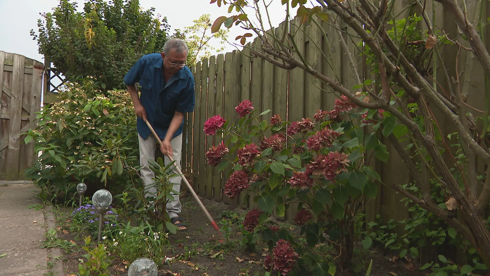 Nierpatiënten met corona lopen extra risico op ernstige complicaties en overlijden sneller