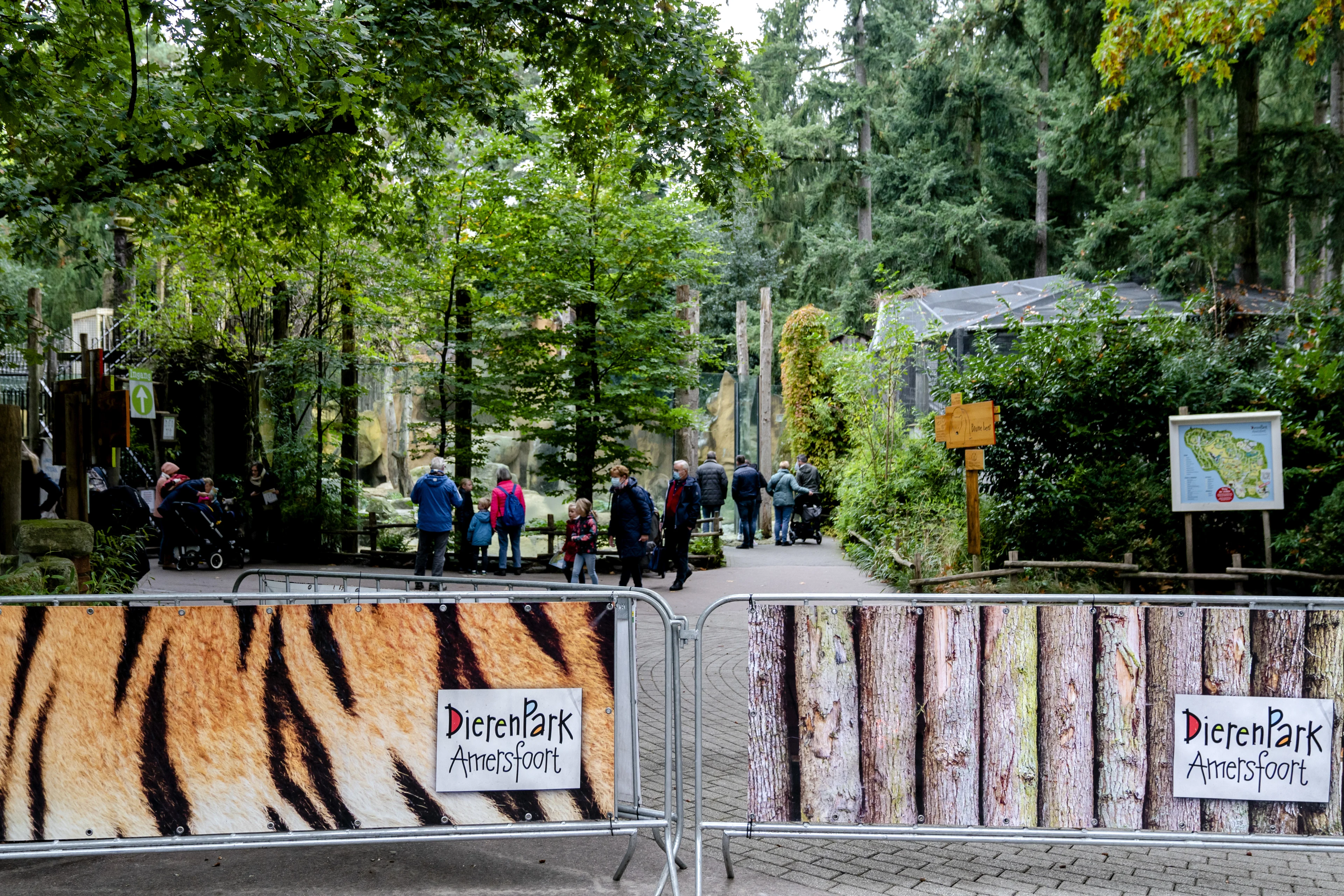 DierenPark Amersfoort ontruimd na ontsnapping: 'Mogelijk gevaar voor bezoekers'