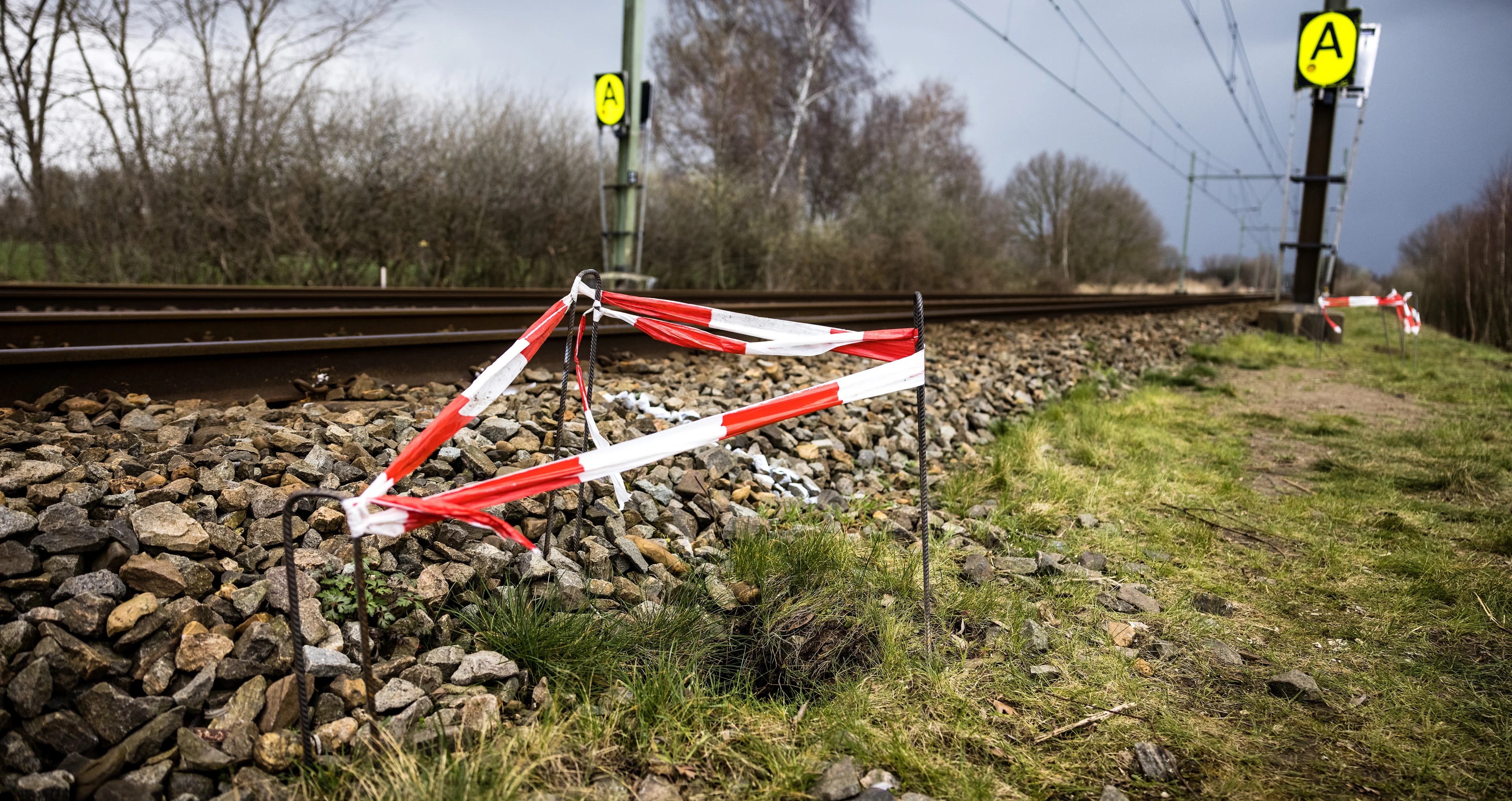 Treinverkeer Den Bosch - Boxtel hervat na overlast door dassen