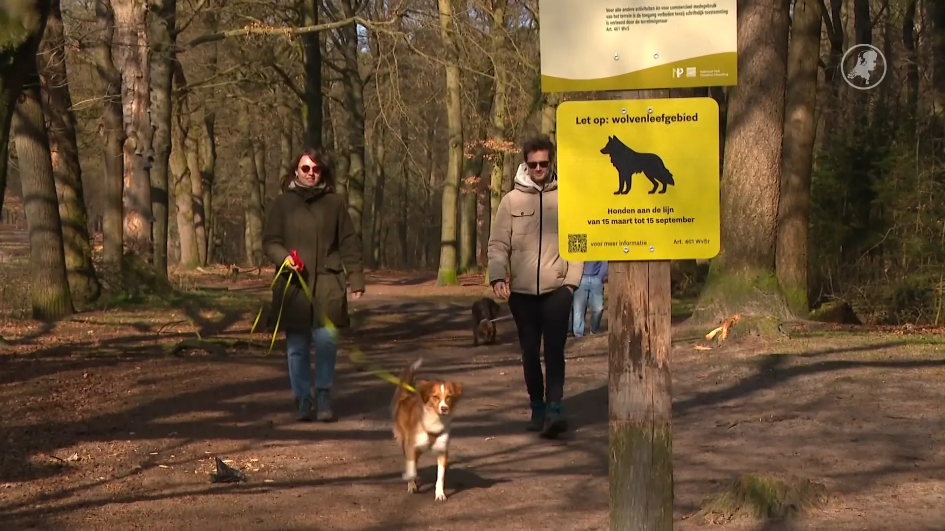 Hondenbezitters hebben 'geen boodschap' aan strengere aanlijnplicht Utrechtse Heuvelrug