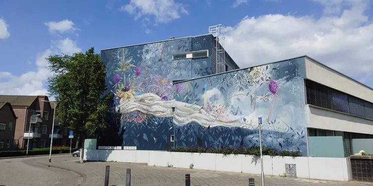 Muurschildering moet weg van architect: 'Nu kijk ik weer op de vreselijk lelijke buurt'