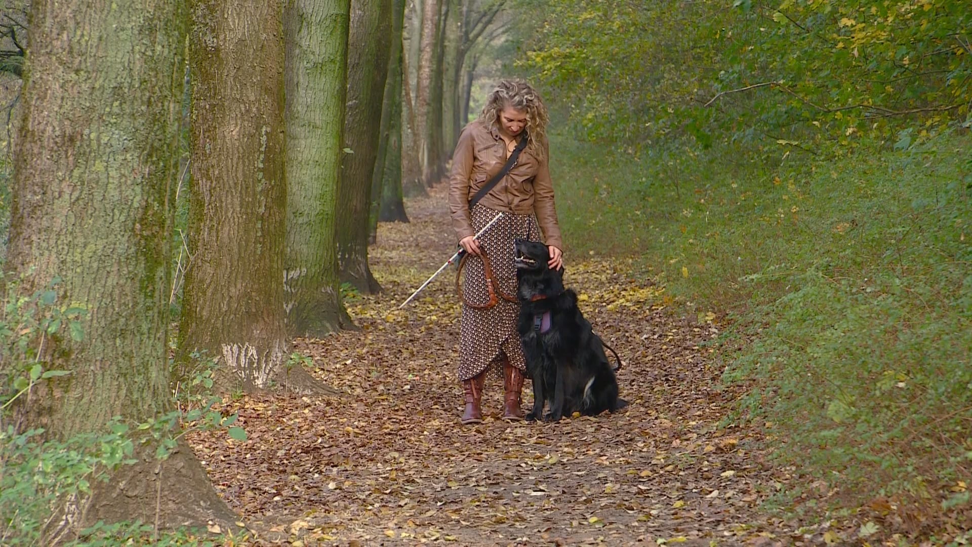 Geleidehonden in coronatijd nog belangrijker: 'Hij snapt alleen niets van de 1,5 meter'