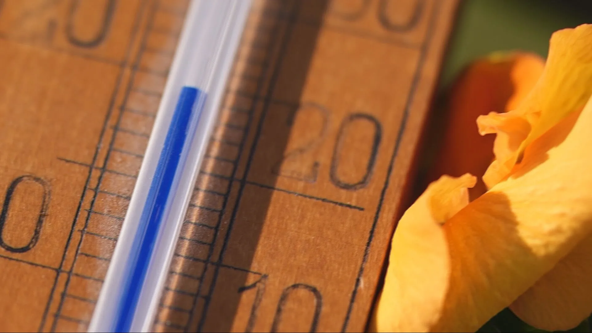 Van -8 naar 20 graden: bizarre temperatuurwisseling op komst