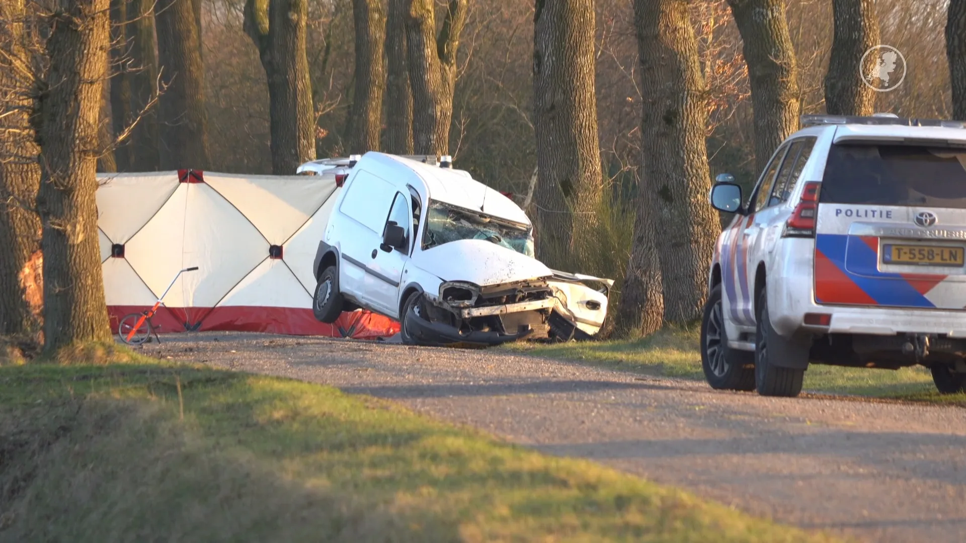 Man (55) overleden na botsing tegen boom in Drentse Peest