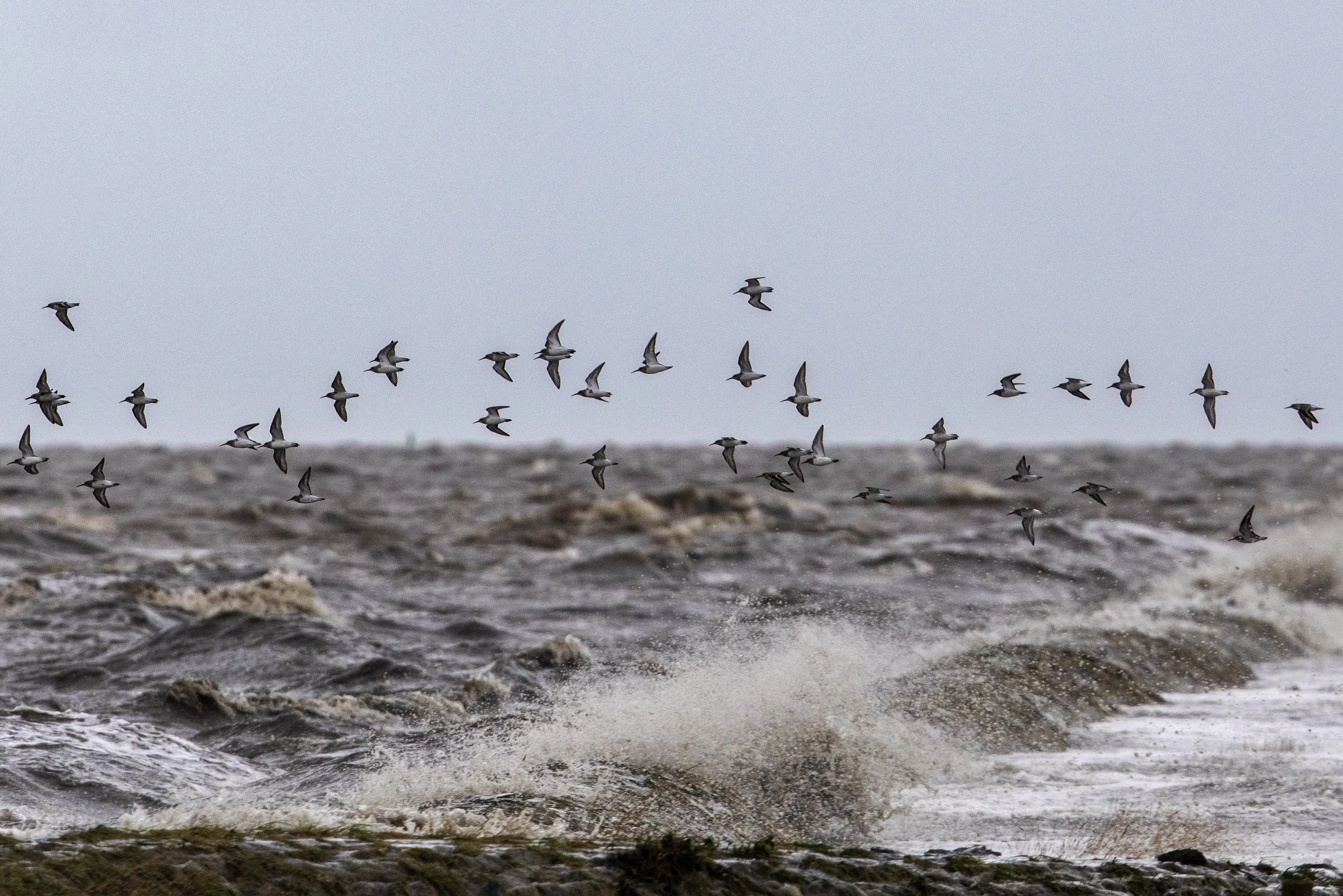 Woensdag code geel in Waddengebied om zware windstoten