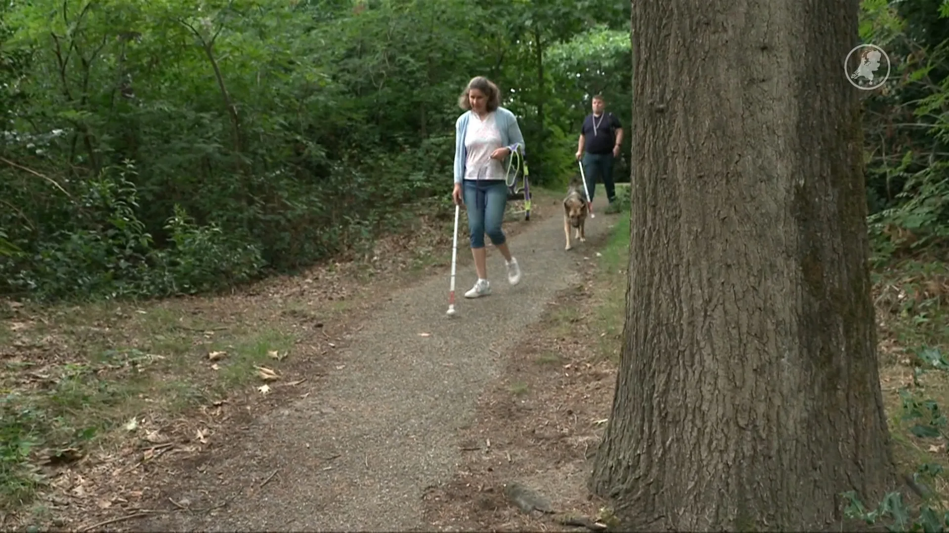 De angst voor de wolf groeit onder blinden en slechtzienden met een geleidehond