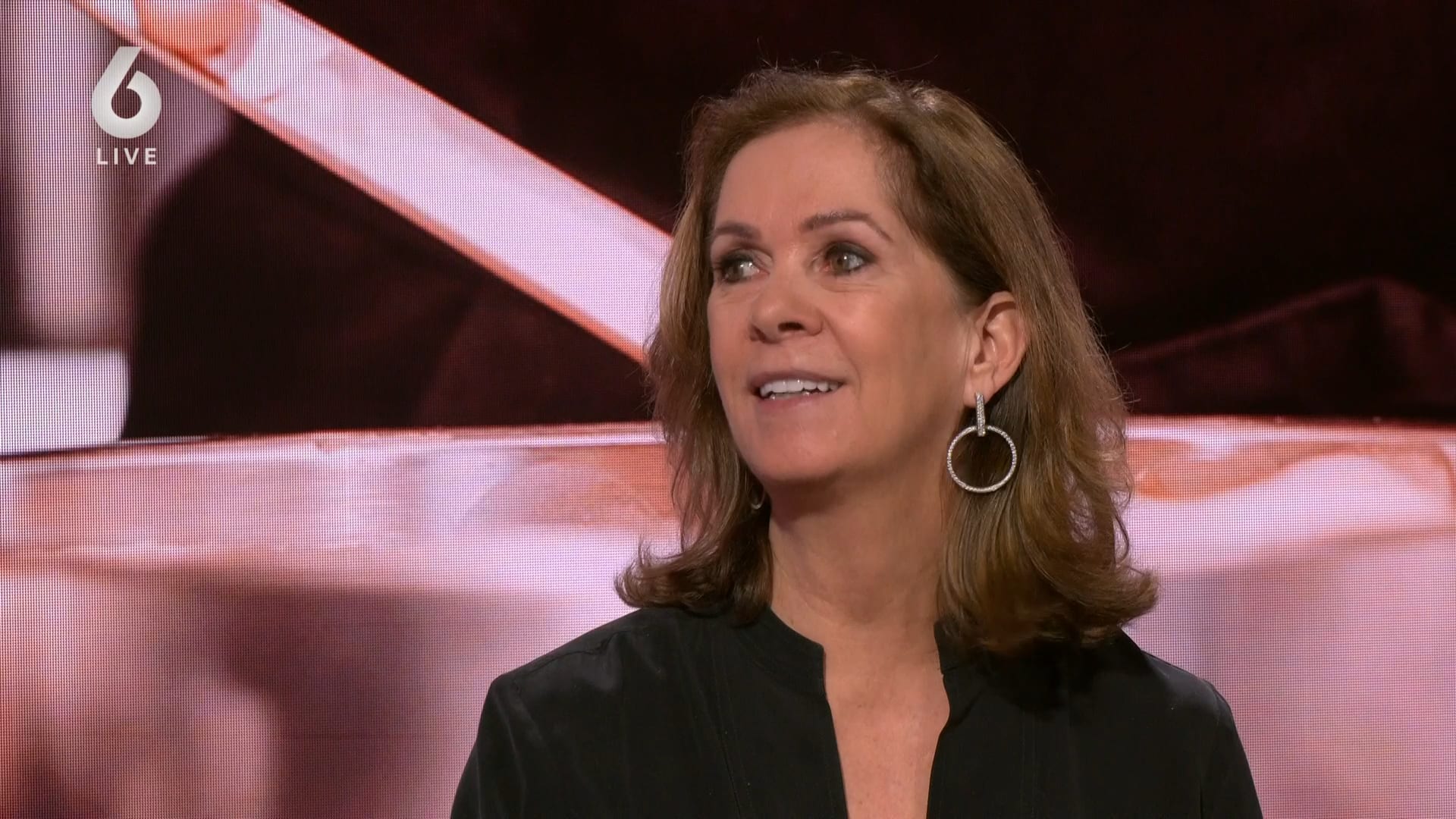 Opiniemaker Annemarie van Gaal over ‘bullshitbanen’