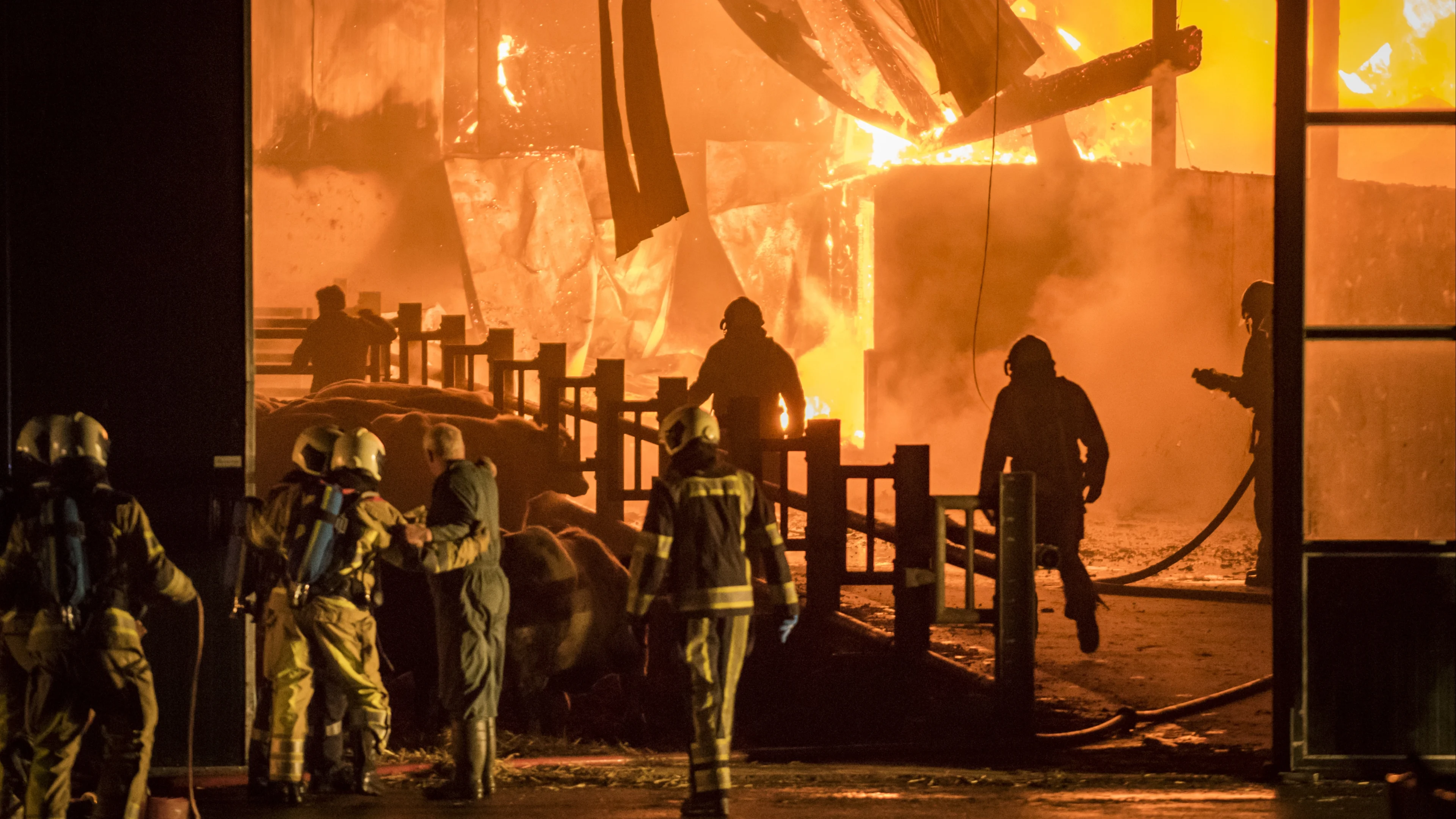 Boeren verzetten zich tegen strengere brandcontroles: 'Kosten te hoog'