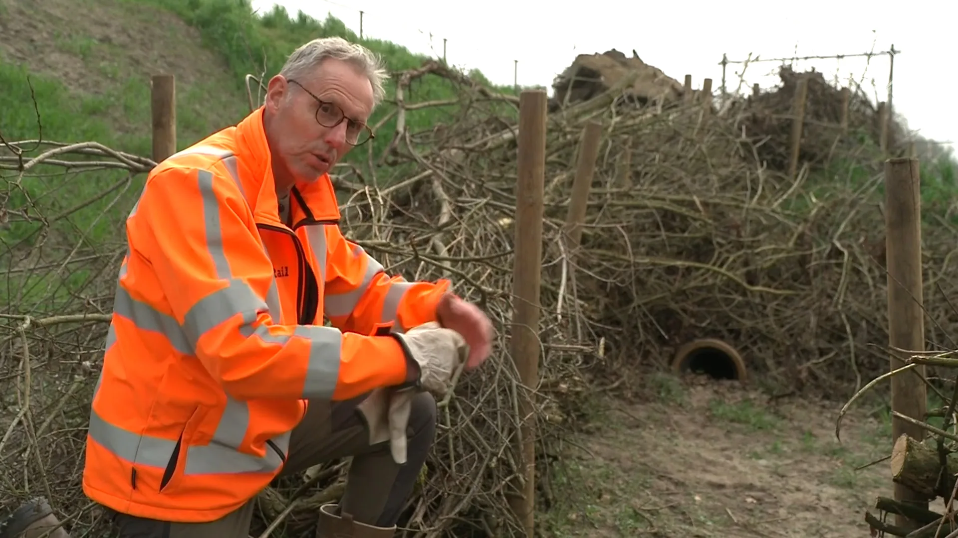 ProRail vindt meerdere sporen van dassen rondom spoor