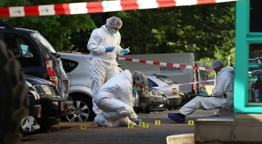 Vier jaar cel en tbs met dwang voor brute verkrachting van studente (20) uit Indonesië