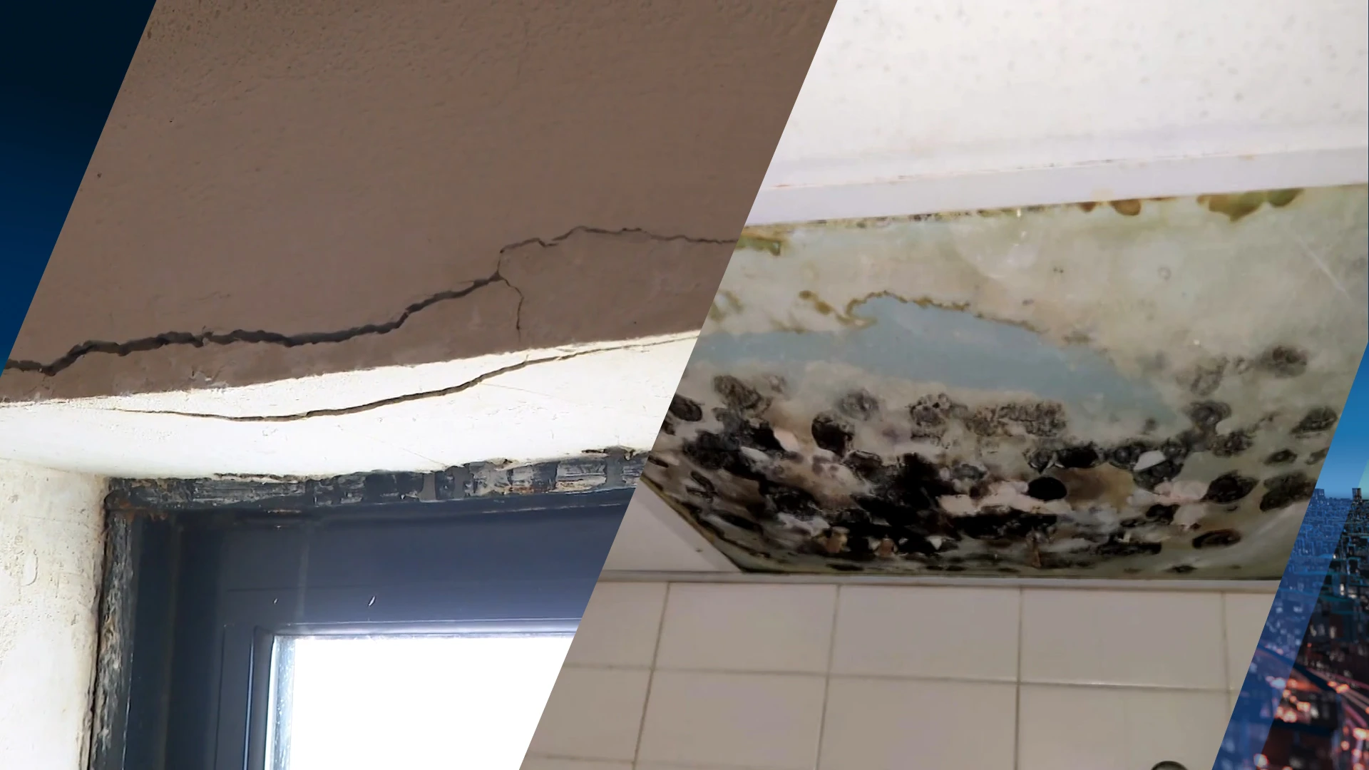 Studenten slapen tussen bedwantsen, schimmel en ratten in stinkende flat