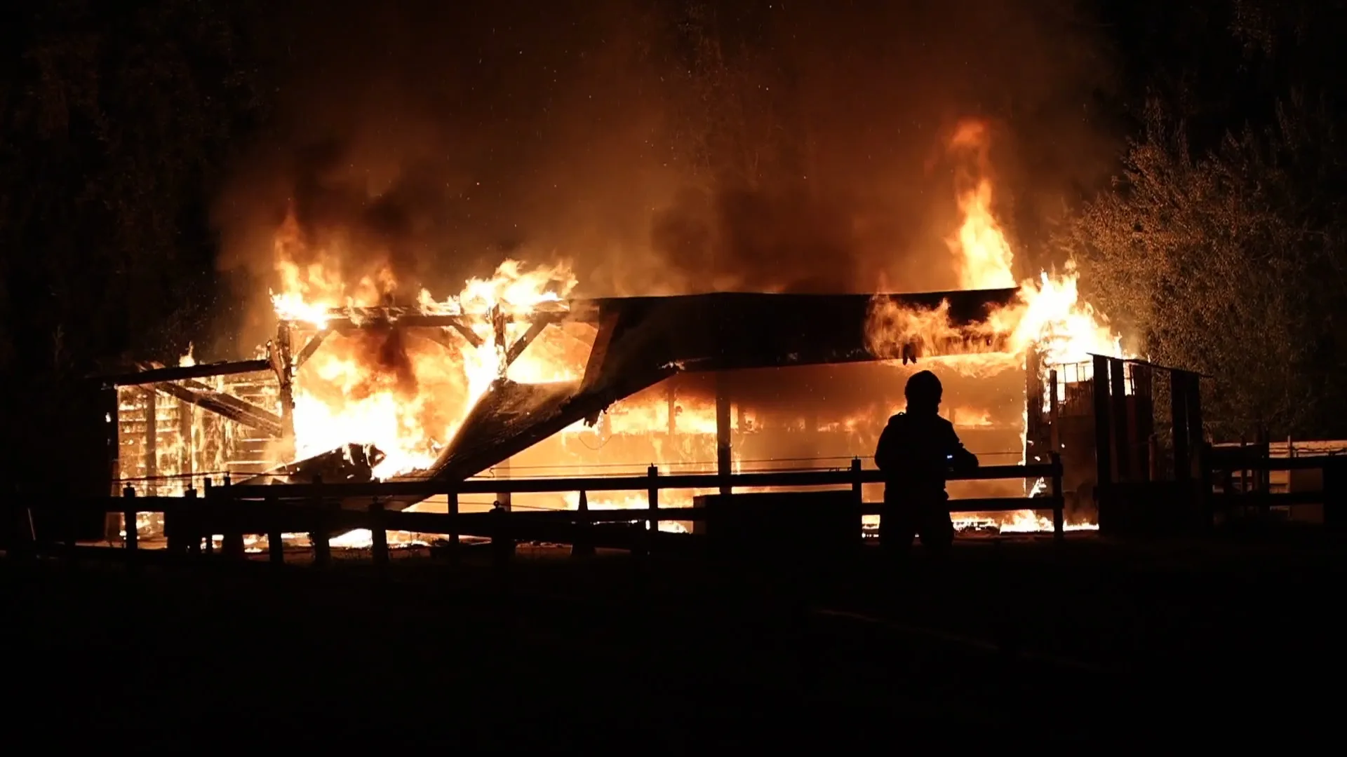 Paarden ontsnappen aan hevige brand in Rijswijk, stal compleet verwoest