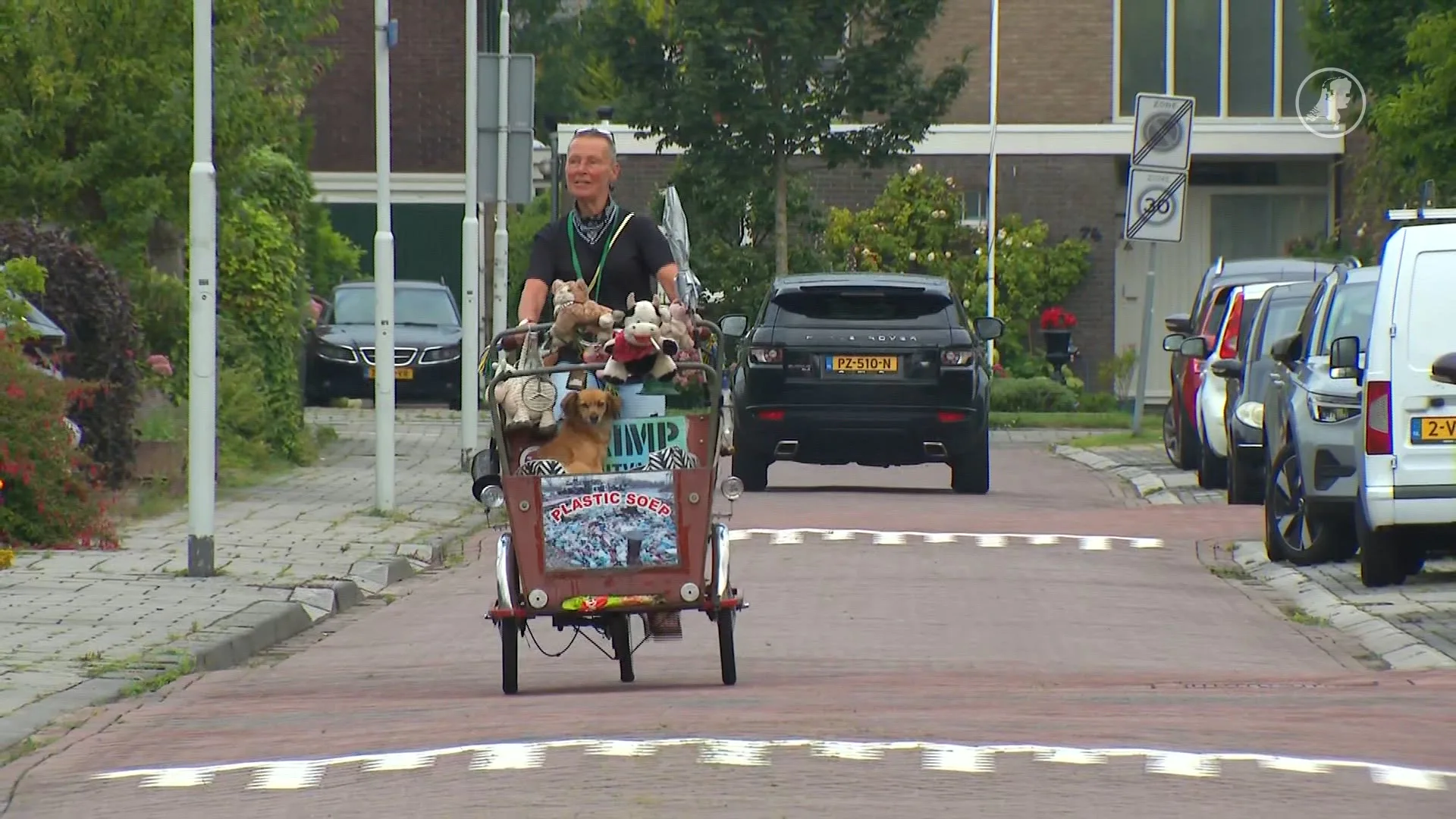 Gerda zet zich in voor dieren geraakt door Gaza-conflict