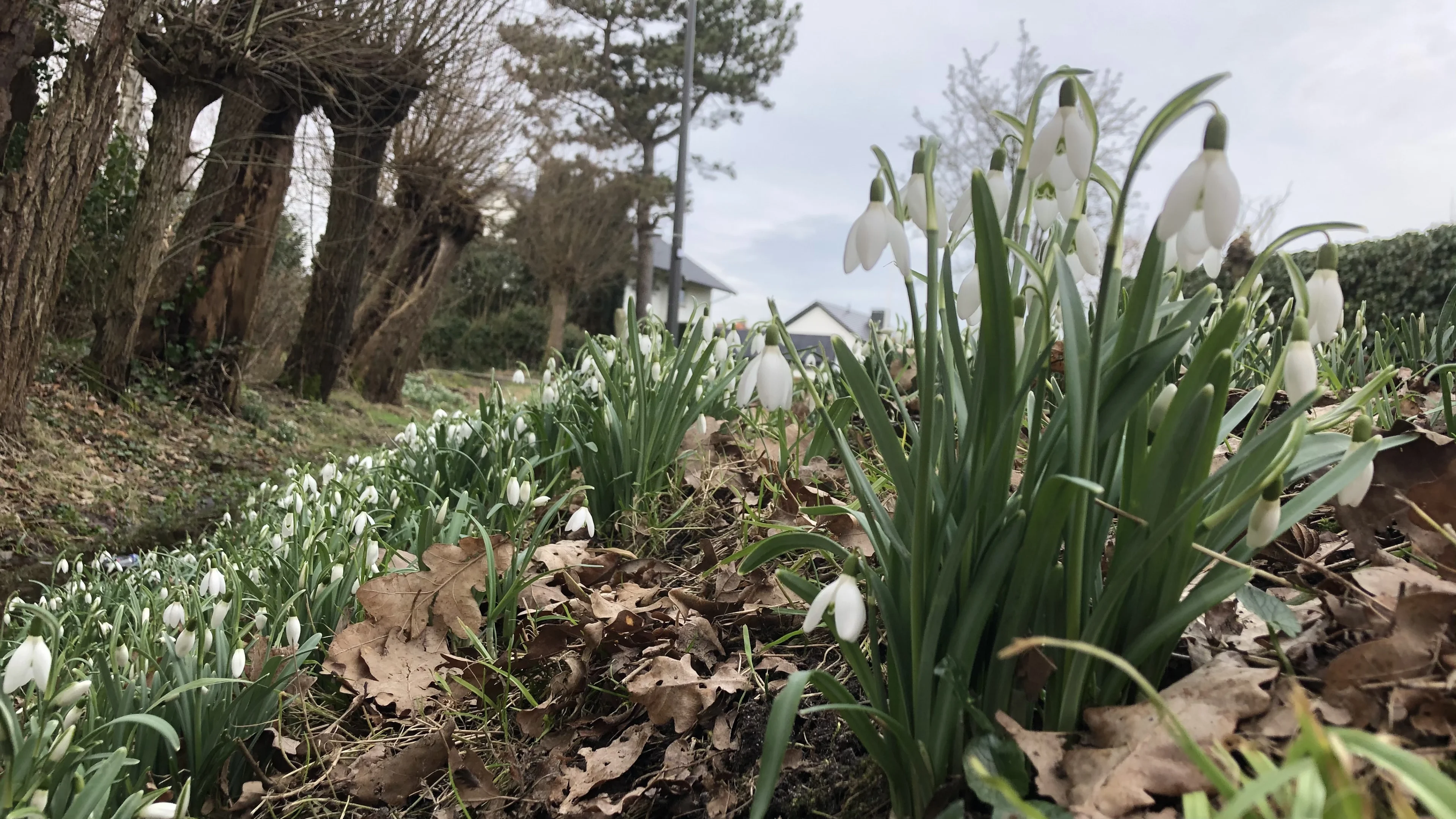Het moment is daar: de lente kan nu écht beginnen