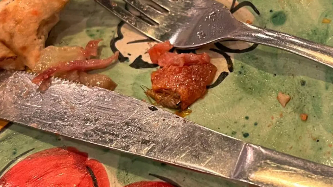 Vriendinnen vinden kakkerlak in pizza bij restaurant: 'Pootjes staken eruit'