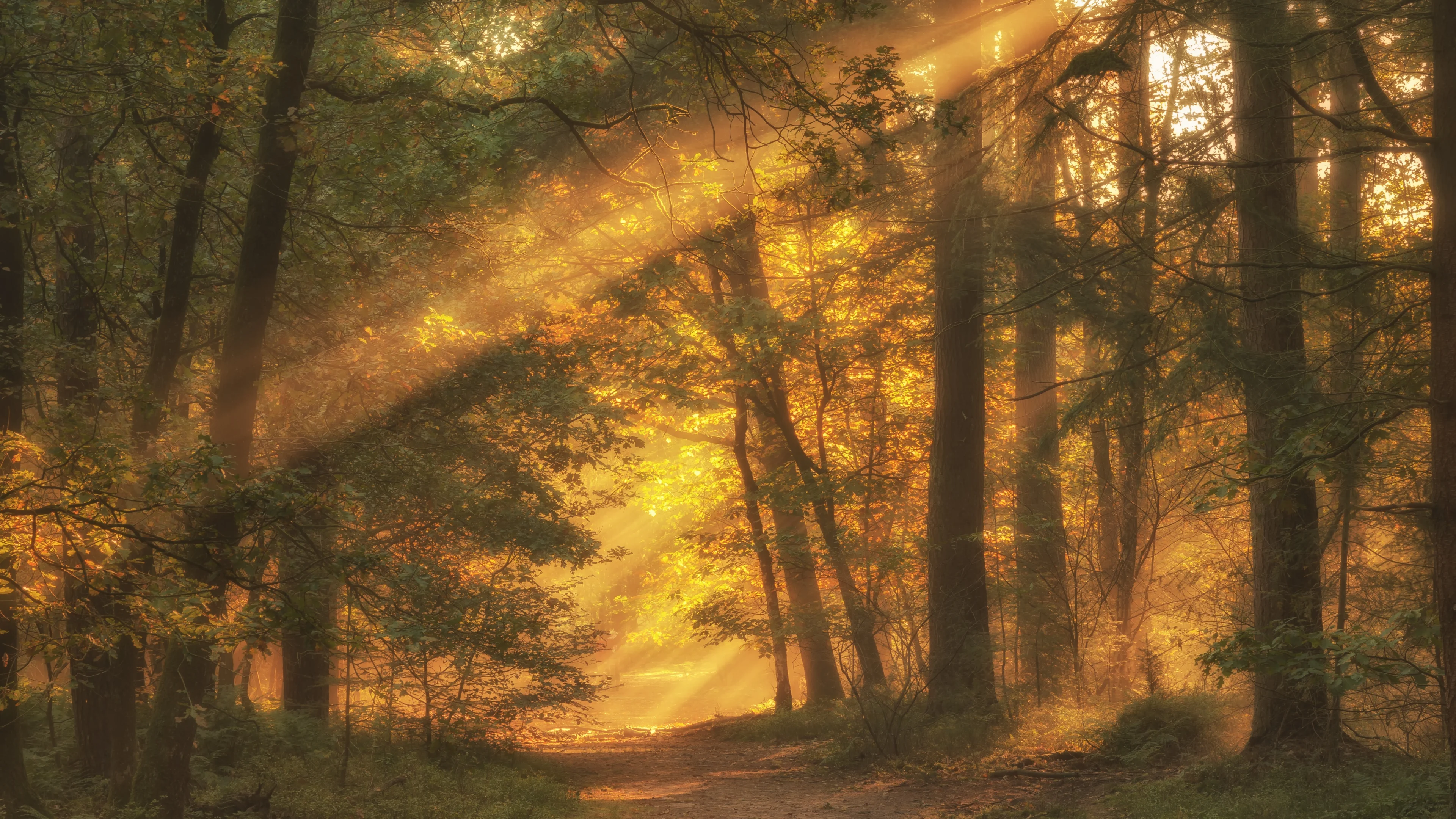 Zonnige dag maakt plaats voor herfstweer