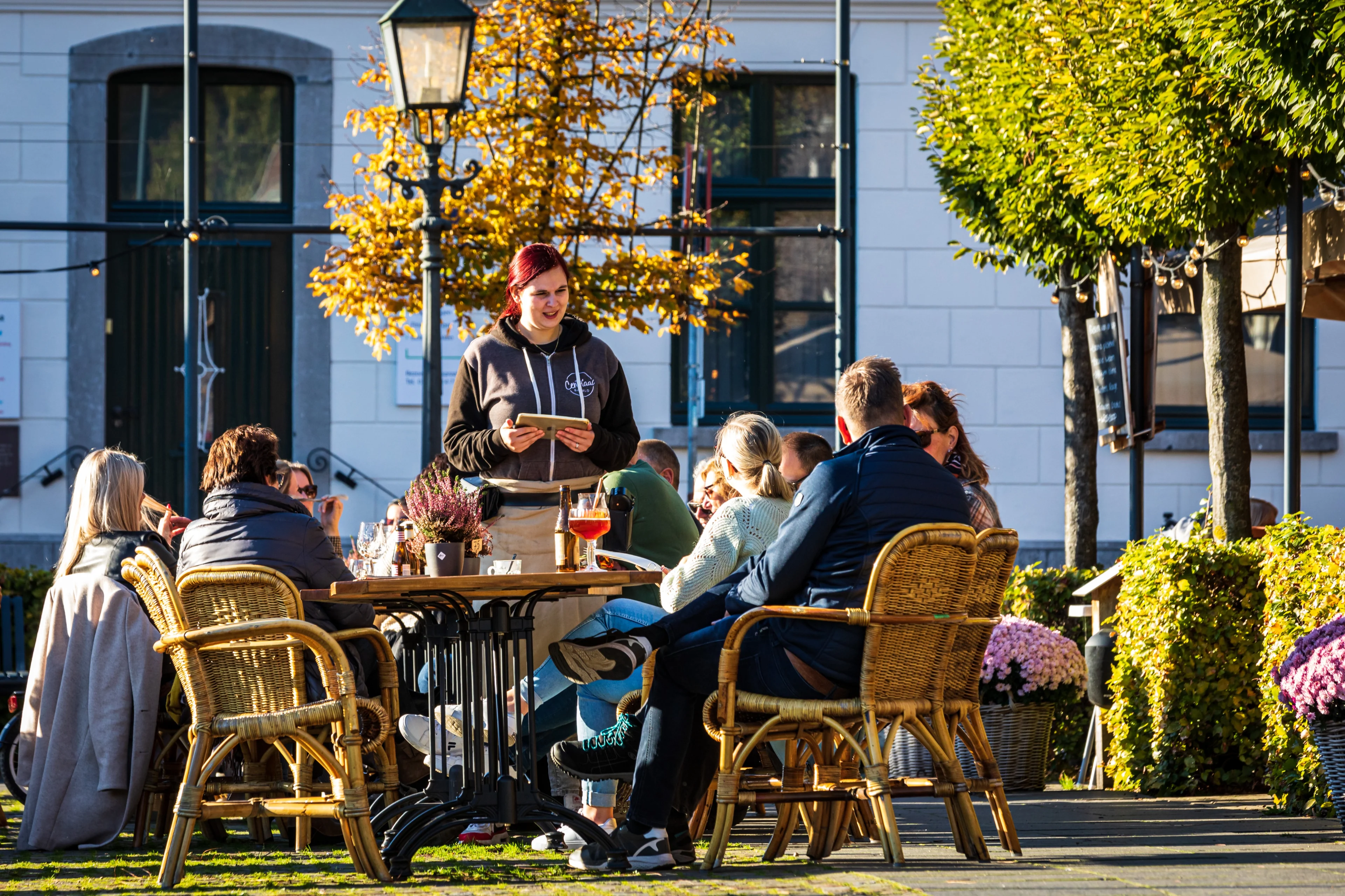 Grote verschillen in temperaturen op mogelijk eerste lentedag: dit kun je verwachten