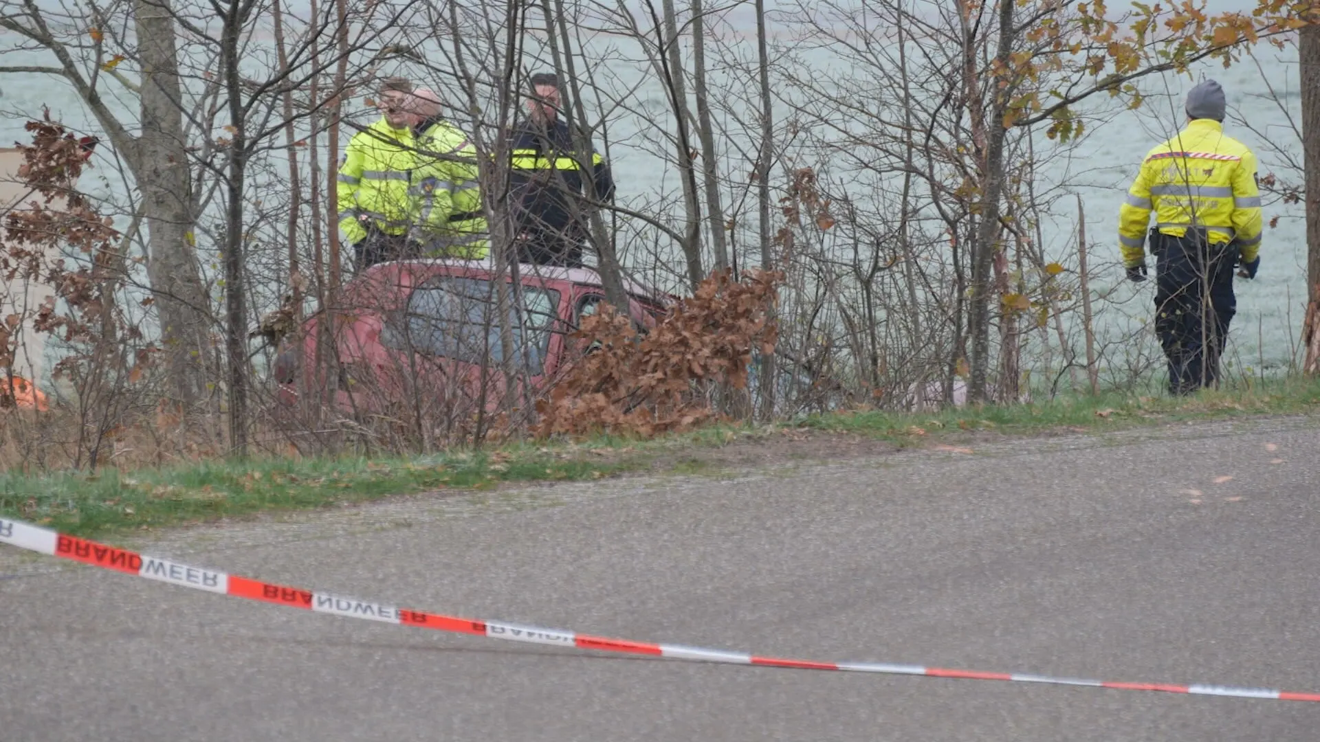 Automobilist botst tegen boom in Elim en overlijdt