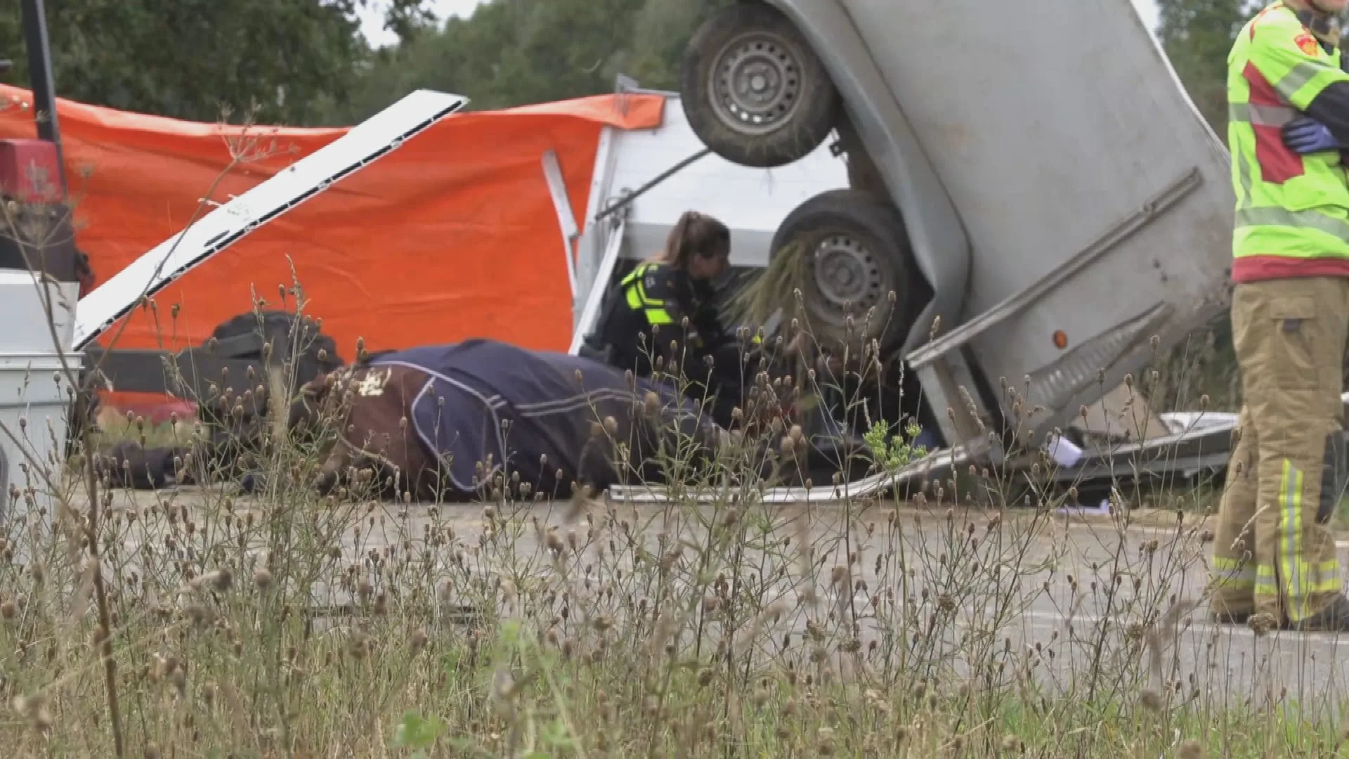 Paard overleden bij ongeval met twee voertuigen op A18 bij Didam