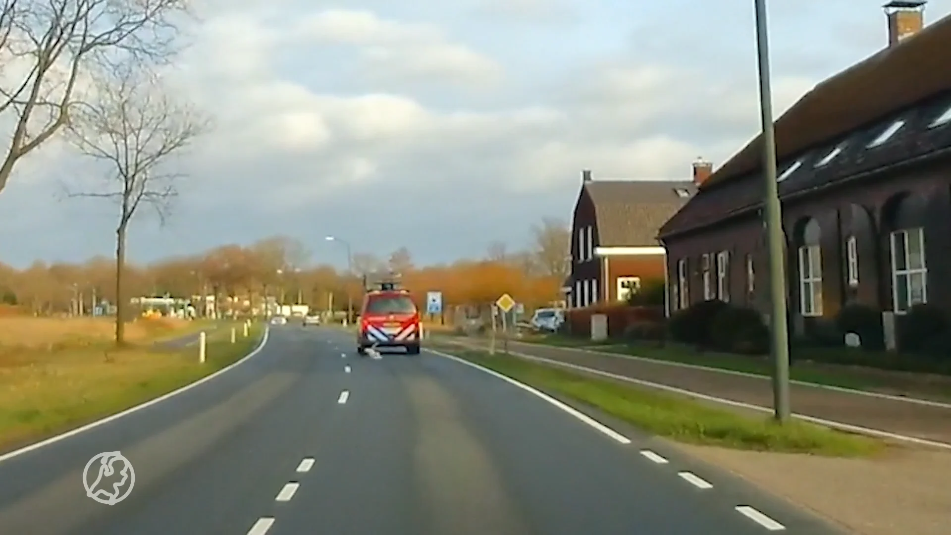 ZIEN: Kat ontsnapt op een haartje na aan de dood